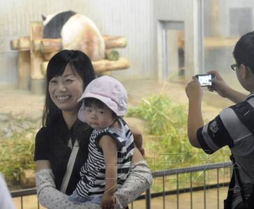 旅日中国熊猫真真悉心照顾幼崽已多次哺乳(图)