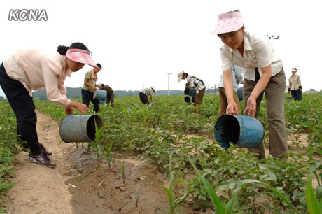 美前高官批政府无意提供对朝粮援称应重启协商