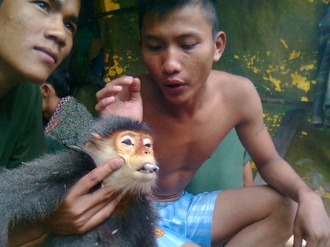 越南士兵网传虐猴照片引公愤猴子死前被迫抽烟
