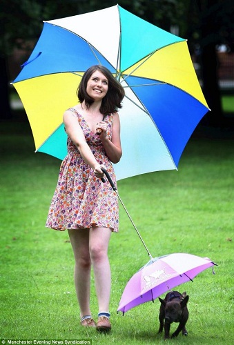 雨天不断英国宠物主人给爱犬打起特制雨伞(图)