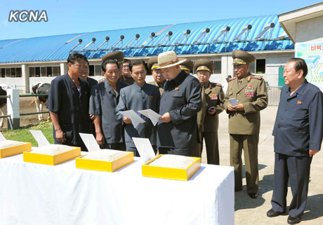 金正恩视察牛羊牧场要求实现金正日宿愿(图)