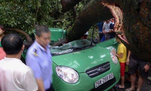 台风“启德”袭越南引发强降雨至少17人死(图)