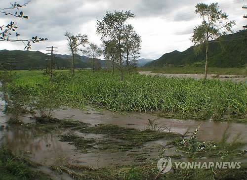 韩媒称台风布拉万致朝鲜48人死50余人受伤及失踪