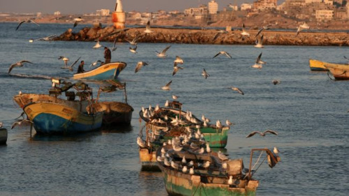 ����˹����ɫ�к����Ƿ�����4������˹̹����