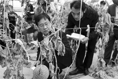 韩化工厂爆炸政府救灾不力1500余人送医救治