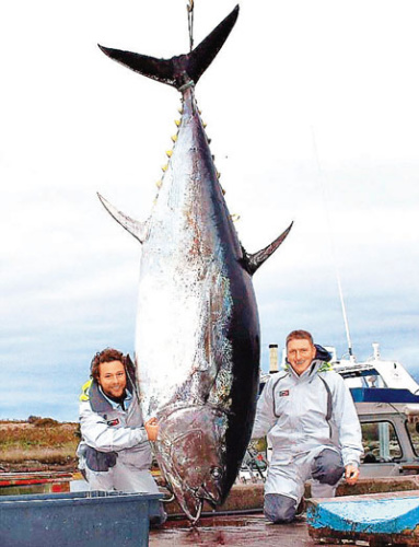 ���ô����񲶻����������ǹ����454���ͼ��