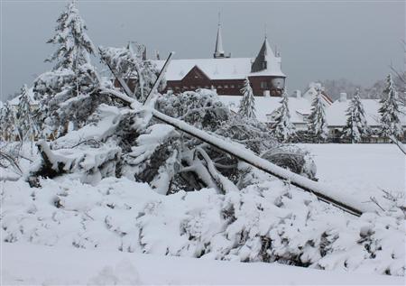 日本北海道暴风雪袭击致3人受伤交通遇阻(图)