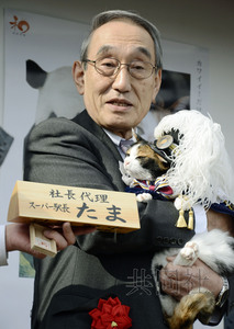 日本花猫站长升任“代理社长”获颁鲣鱼花(图)