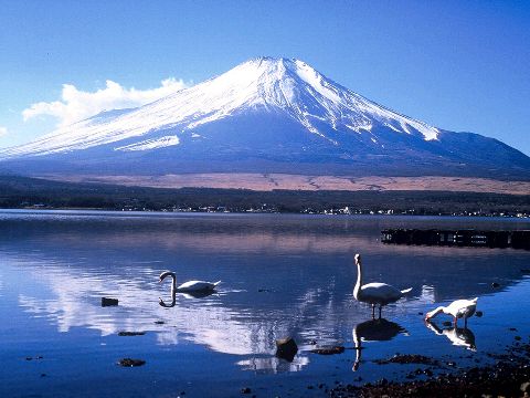 日本专家预测称2015年富士山可能再次喷发(图)