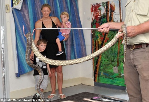 һ�ж�����������������������ʮ��С�ߣ�ͼ��