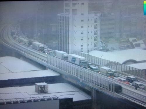 日本东京首都圈因暴风雪交通大乱列车停驶(图)