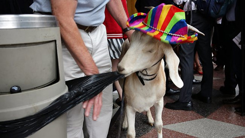 �Ĵ�����һͷ����͵�Բ�����⻨������ߣ�ͼ��