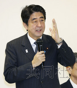 日本首相安倍晋三表示欲在任期内完成修宪(图)