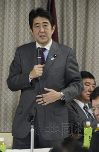 安倍出席自民党高层会议就加入TPP谈判寻求理解