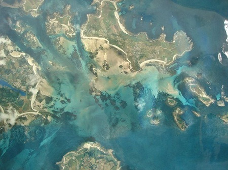 科学家称海平面上升将导致大量生物灭绝(图)