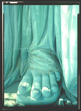 人类脚趾长度分三种 "希腊脚"专出美女(图)