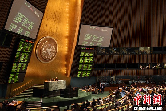 联合国大会通过叙利亚问题决议中俄等国投反对票
