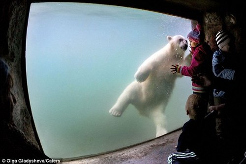 �ÿͱ�����ͬ�οʹ��к�������ٲȻ�����ǣ�ͼ��