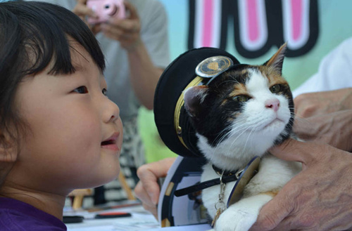 �ձ���·��˾�ڴ���èվ����С�����������֣�ͼ��