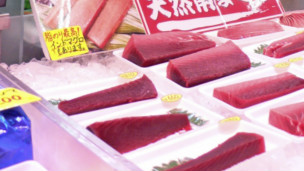 报告称受福岛核泄漏污染海产品无损健康可食用