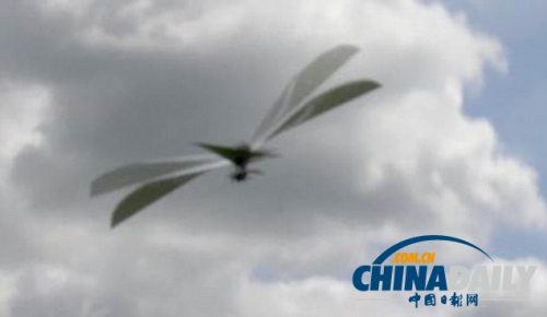 美打造高仿真“机器乌鸦”或变身战争间谍(图)