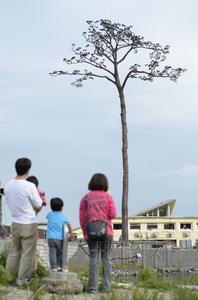 �ձ��������漣һ���ɡ���ɸ�ԭ����������ͼ��