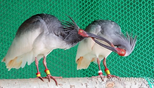 �к�ǩ�����q����Э���з������ṩ2ֻ���q