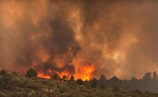 美国高温致山火爆发造成19名消防人员死亡