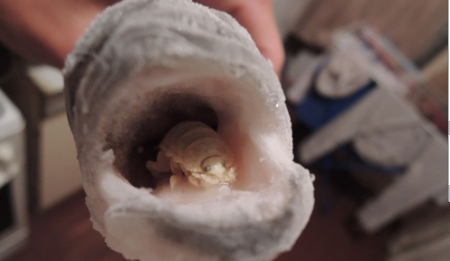 ������ѧ�ҹ�������Ѱ�񺱼��������Ϻ��ͼ��