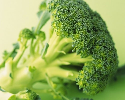 奥巴马出席儿童健康饮食活动自称最爱西兰花