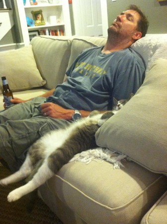 主人找猫累翻、猫走失也累瘫团聚一起翻肚熟睡
