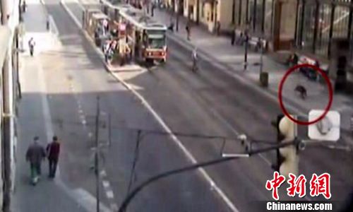 野猪大白天狂窜捷克首都警察跨数城区追缉(图)