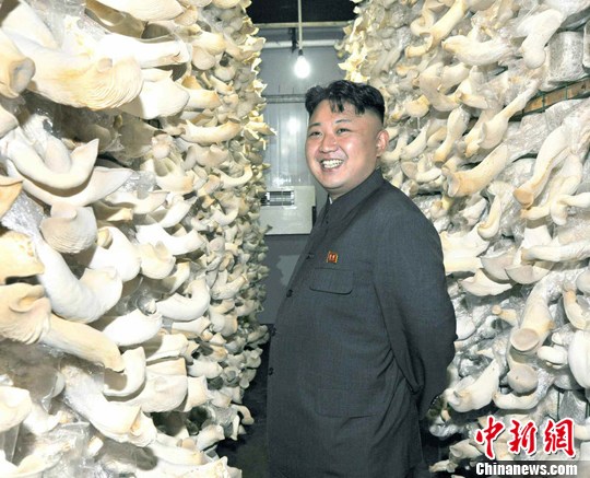 金正恩视察部队蘑菇厂要求把朝鲜变成蘑菇之国