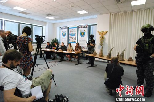 捷克破获该国最大白犀牛角走私案逮捕16人(图)