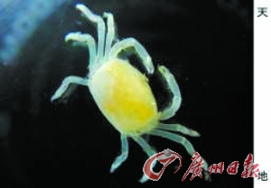 �ձ�������ֻ�������з���ͼ�С����������