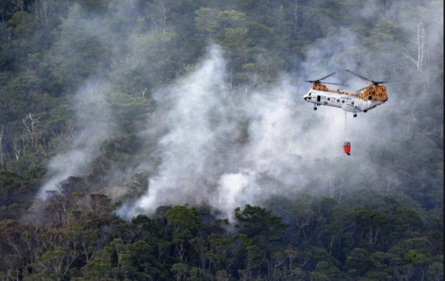 פ��������׹���¹ʾ����ӳ١���ӥ��׷�Ӳ���