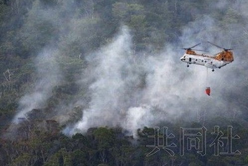 ��׹��Ӱ��פ����������10����ӥ���ݲ�ת��