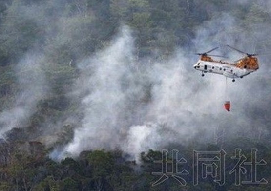 ����ֱ����׹��һ���������屻��������δȷ��