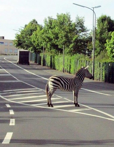 �¹������ܳ���Ϸ���Ͻֵ��������ߡ�