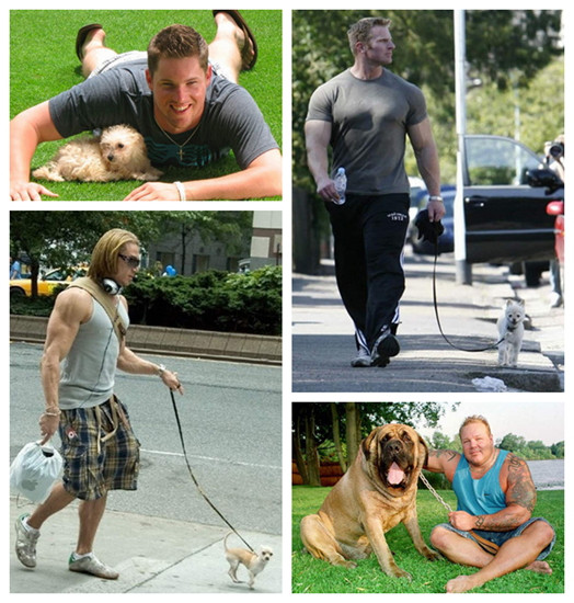 �������СС���ĺ��գ��������Ҳ�п���������