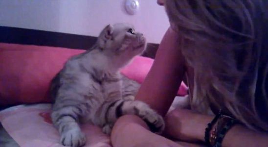 Сè���ȡ���Ϸ��Ů���˻�������ɷ���У���ͼ����3��