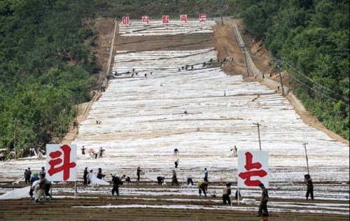朝举全国之力建滑雪场愿将其作为韩冬奥会场馆