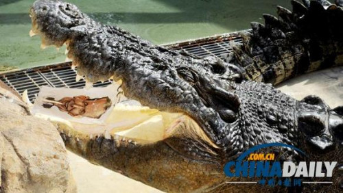 ���á�ͨ�����㡱Ԥ���ѡ�����½���İܱ�