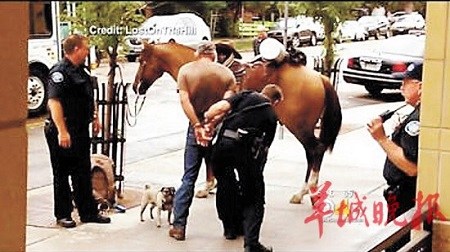�������Ӿƺ�������������Ű������ָ�أ�ͼ��