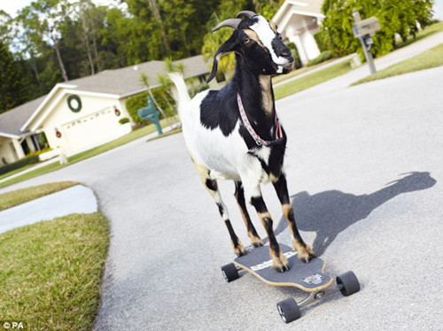 ǧ��ٹ������¼��Ů�Ӵ��߸�Ь�ܰ��׽�14�루4��