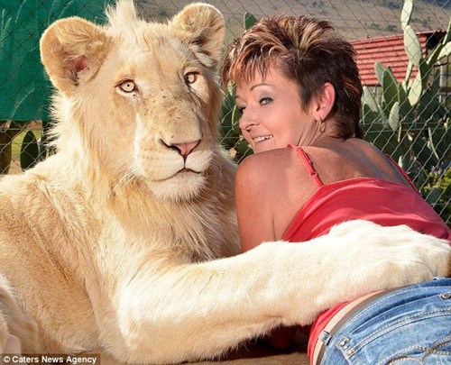 点图查看下一页