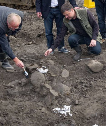 德国矿场发现距今1100万年古鲸鱼化石(图)