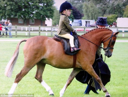 Ӣ������ͯӢ���ˬ���������С������ͼ����4��