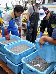 ��������Э���������Բ��̳ư�ȫ���б�֤��ͼ��