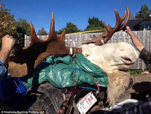 ������ɱ������ɫ��¹ԭס���Ϊ����֮���ͼ����2��